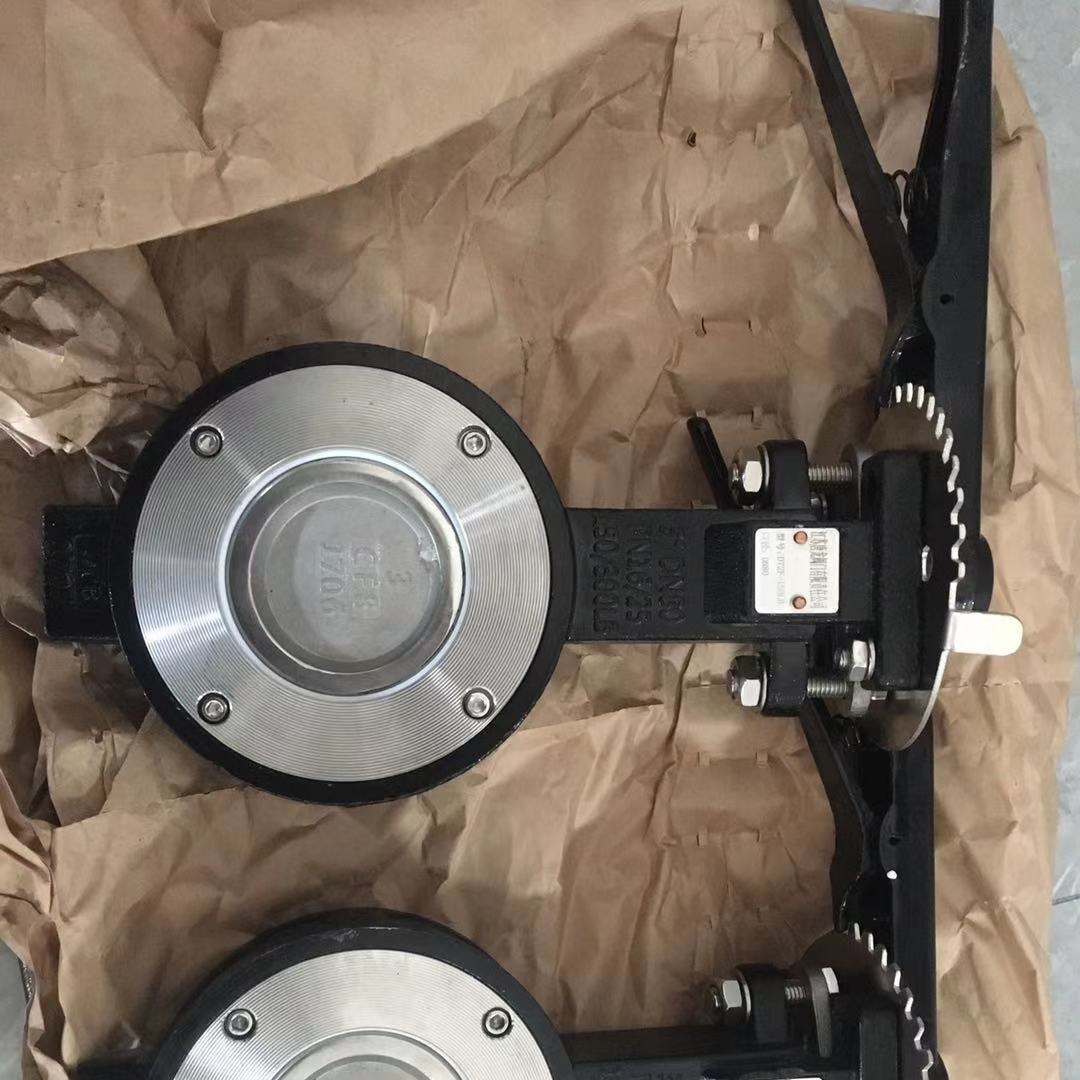 D72F-150LBC美标对夹蝶阀 高性能蝶阀 双偏心高性能蝶阀 D72F蝶阀