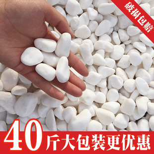 40���ɫʯ��ʯ�^���Z��ʯͥԺ�·䁵�С��ʯ���@�쾰���^��