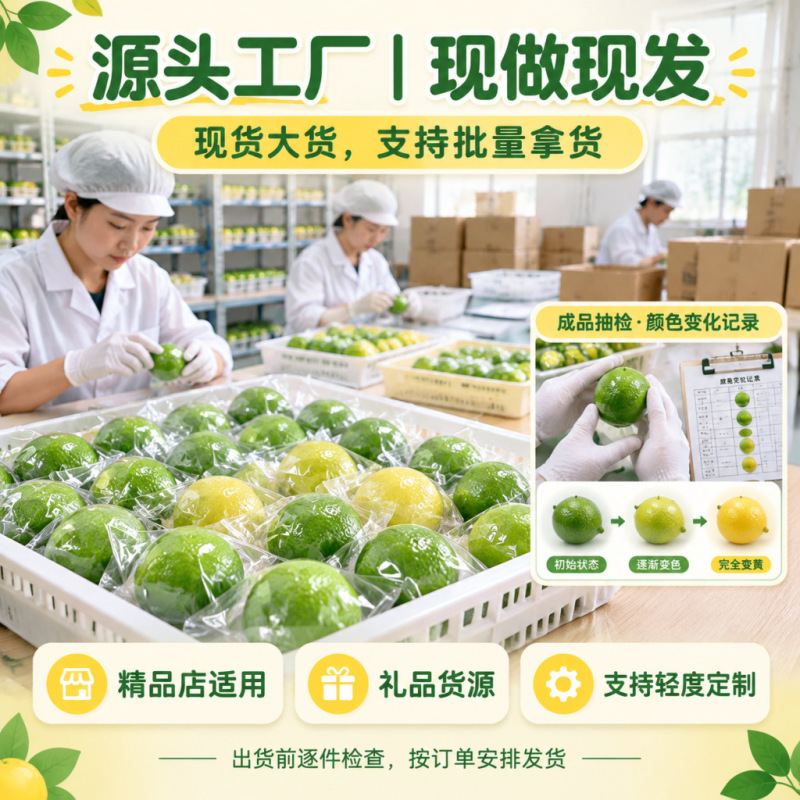 The Factory's Best-Selling Building Blocks Are Filled with Crunchy Sound-Changing Lemon Balls That Provide Dual Stress Relief through Sound and Touch The Factory's Best-Selling Building Blocks Are Filled with Crunchy Sound-Changing Lemon Balls That Provide Dual Stress Relief through Sound and Touch