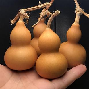 ����С���J�ְѼ� �@ָ����� С̖�[�� �P�����������������J