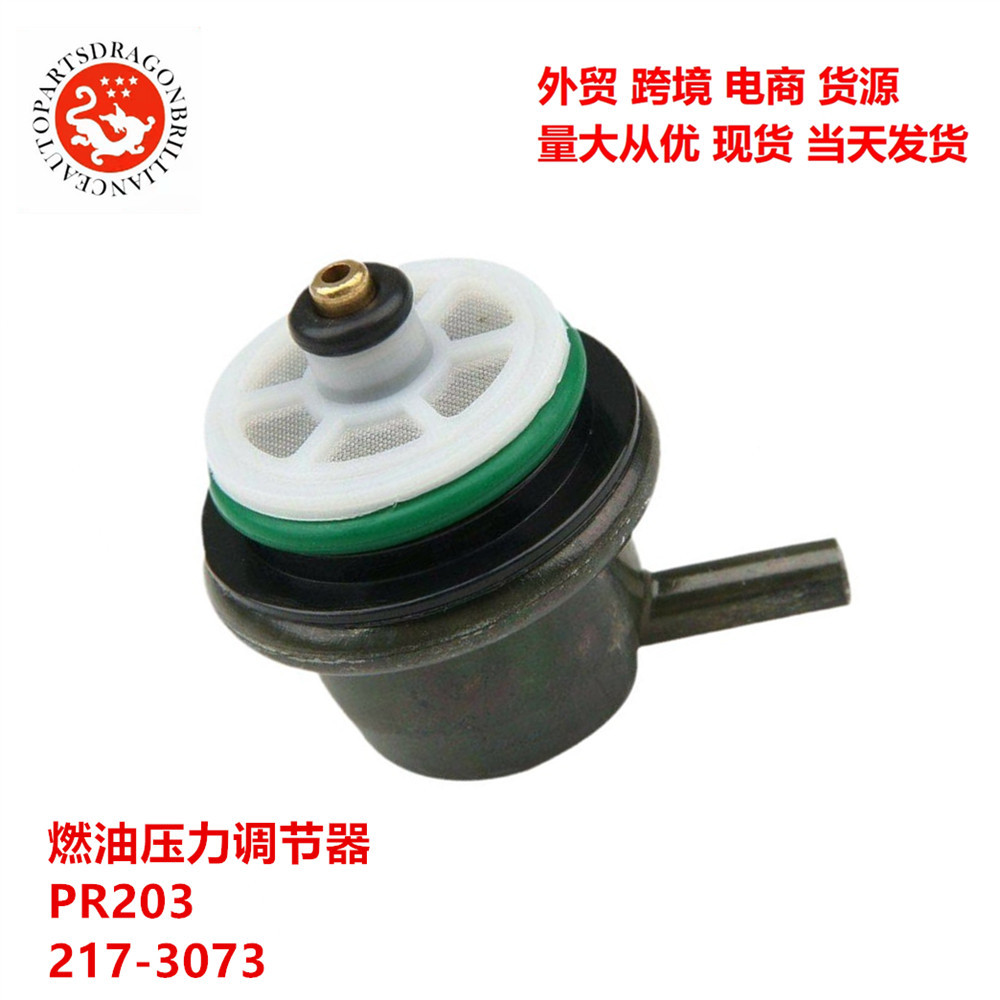 Regulador de presión de combustible transfronterizo PR203 217-3073 PR203 PR217 FP10021 FP10075