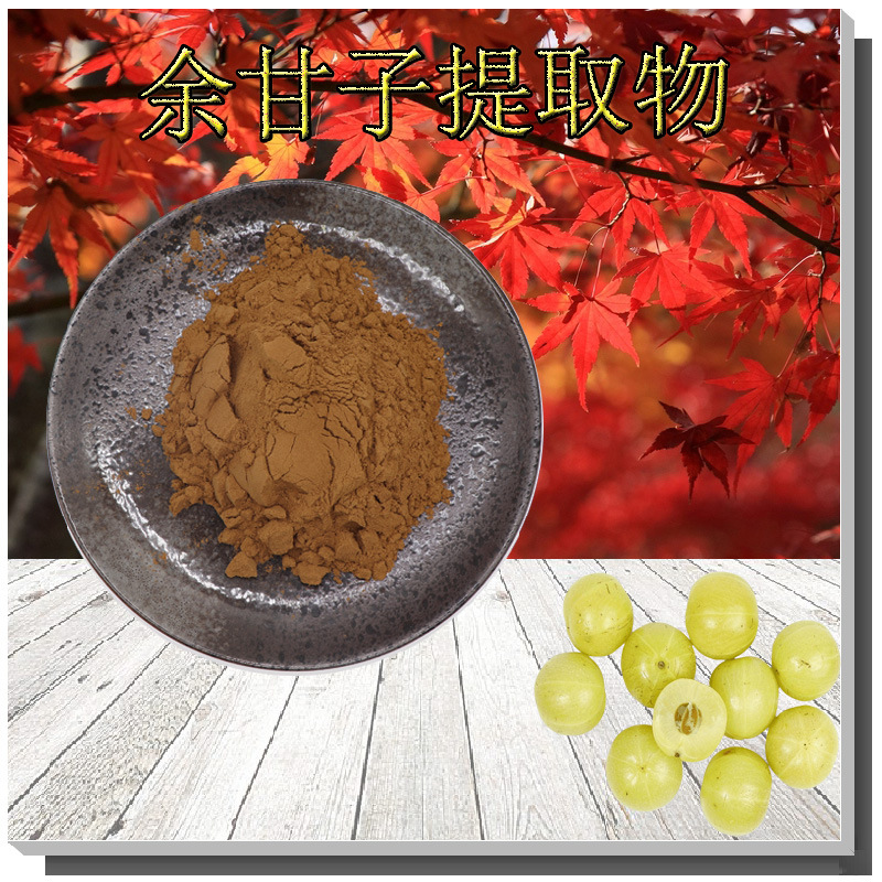余甘子提取物10:1比例规格含余甘果黄酮/多酚水溶余甘子提取物