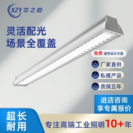 LED装饰灯;其他室外照明;工矿灯