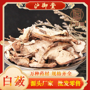 ���`���l�䱳��ș�İ��` �׸� ��צ�� ɽ�ع�����r��һ�����l