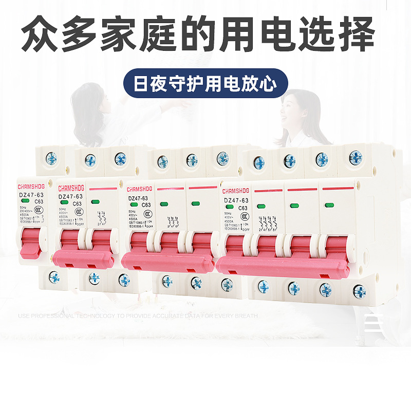 小型斷路器家用空氣開關總閘 DZ47-63微型自動分合閘開關1p2p3p