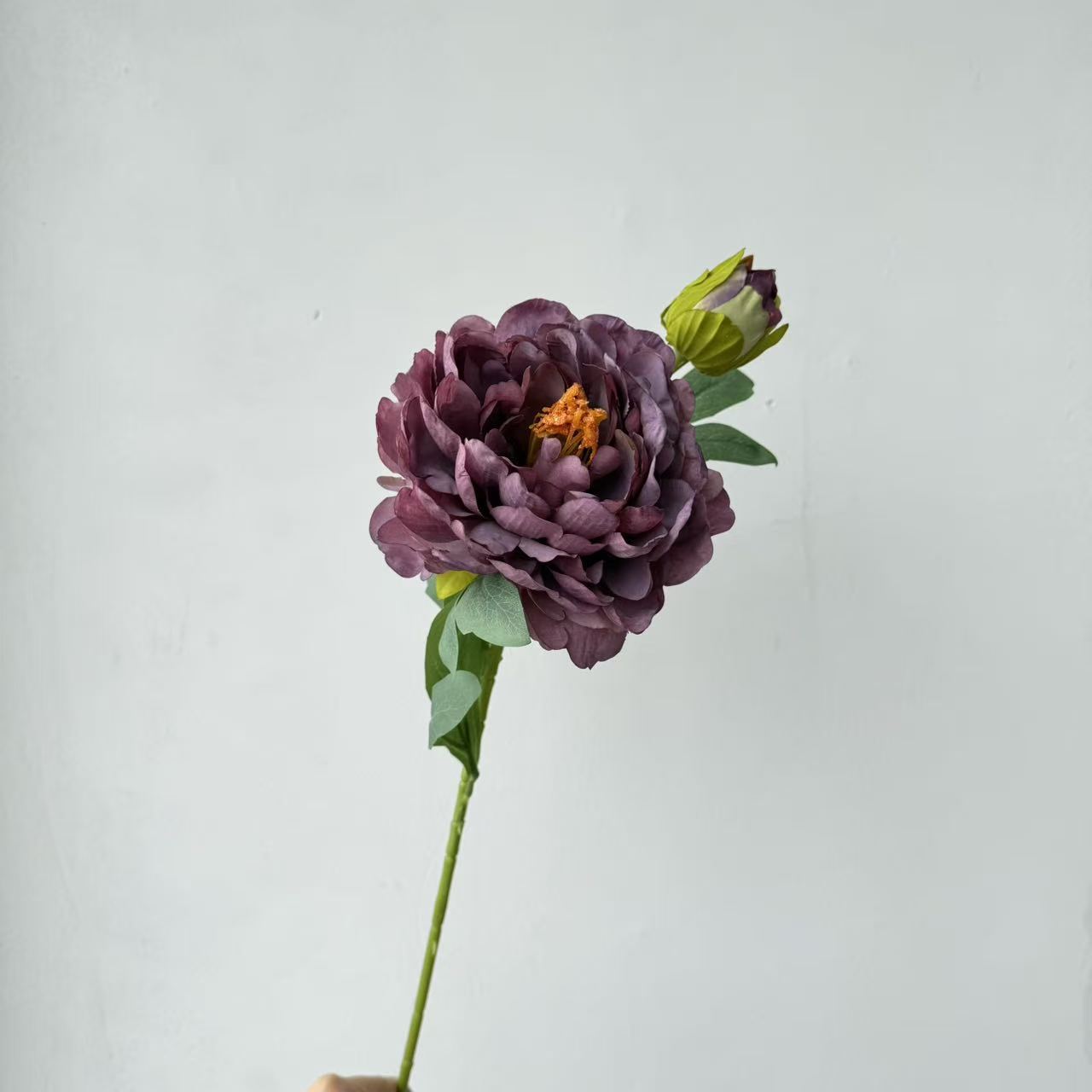 검은 보라색