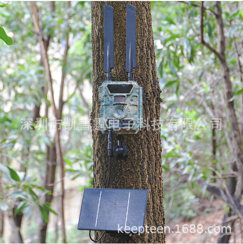 4W-6v-Solar-Panel-Charger_04.j