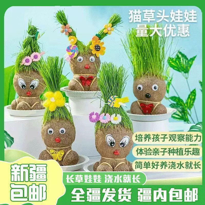Кукла с длинной травяной головой из Синьцзяна, бесплатная доставка, цветущая кукла, детское растение в горшке для дома, балкона, TikTok, в том же стиле, кошачья трава