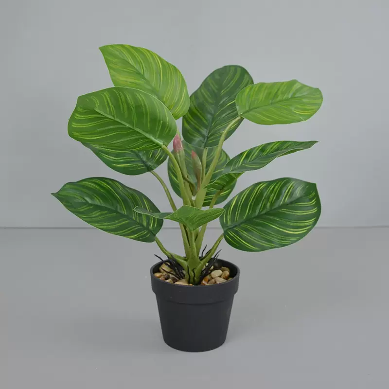 新款仿真绿植小盆栽组合家居装扮桌面摆件摄影道具龟背竹小盆景