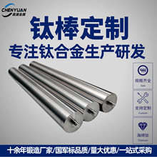 钛棒TA2 TA1 TC4 工业用钛丝钛棒 强度钛合金磨光钛棒现货批发