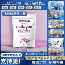 TKmulti collagen peptides powdeNzԭķۿ羳
