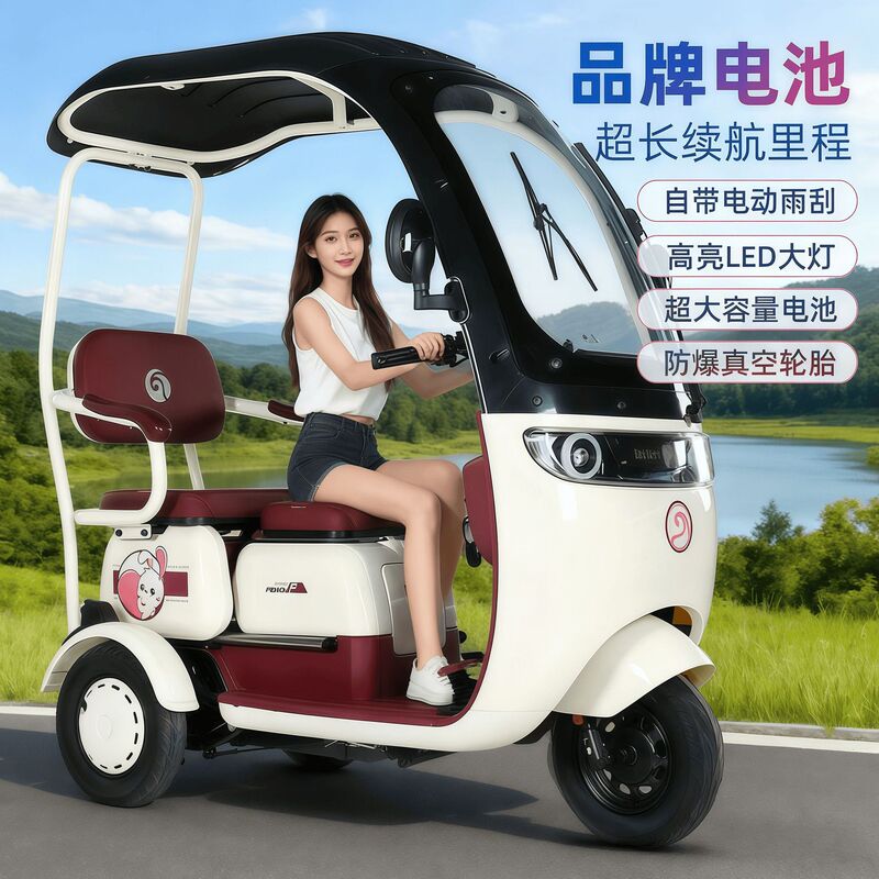 New Model of Electric Tricycle with Canopy, National Standard, for Picking up and Dropping Off Children, Small Electric Vehicle for Women and Elderly, Leisure Mobility Vehicle