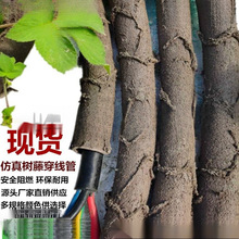 ���ϸɘ�֦늾����@��ľ���ٗl�bܷ�Ƥ������Ę��ٴ�������