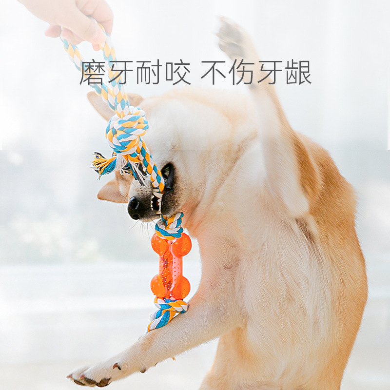 Molares de perro juguete cuerda mordedura cuerda de algodón mediano y pequeño perro entrenamiento 11 piezas conjunto interactivo mordedura resistente mascotas suministros