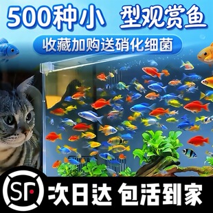 �Ꭷ�^�p���~���B��ɏ�����R��ˮ���~����ʹ��ȸС�ͼt�G����С�~