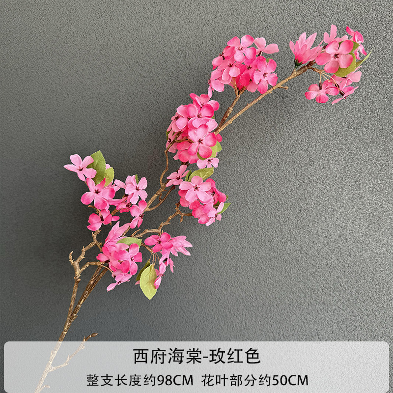 Begônia de Xifu