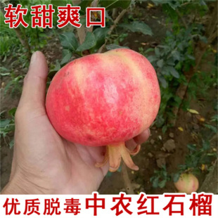 �Ĵ�����ͻ��˹ܛ��ʯ��5��8��ˮ��ֱ�l��ʯ��һ�����l�𝙶�֭