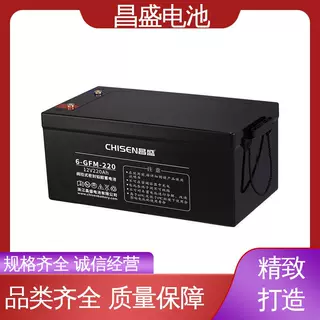 昌盛 6-GFMJ-220 eps电源 直流屏 设备配套 免维护蓄电池 爆款