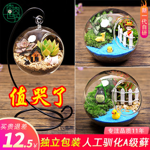������̦�\����΢���^���Bƿ �քӃ�ͯ�������ԾGֲ����DIY���ϰ�