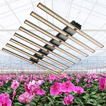 定时led生长灯1200w瓦植物灯plant grow lights植物生长灯生产灯