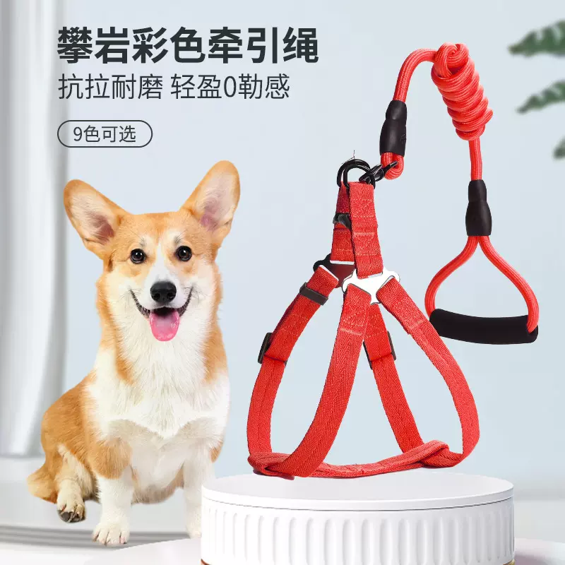 跨境可调节狗狗牵引绳七彩多色尼龙p绳遛狗绳防爆冲狗绳宠物用品