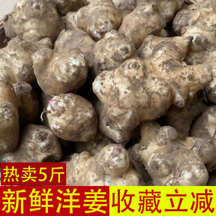 �F��Ұ�������r5��Ұ���ӽ������r���߲��ݲ���˾����󽪷N��