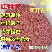 �M��⛷ʶ��_˹����⛼t��~��ʱ����ٹ���ˮ�ܷ�⛷��{ˮͨ����