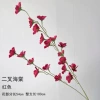 Two-pronged Begonia-Red