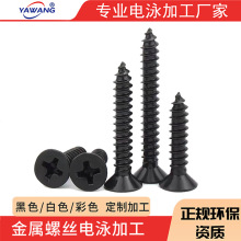 ɫӾ |ݸӾSԹݽz Ӿӹo̼ɫ 