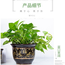 陶瓷花盆特大号中式古典阳台桌面兰花发财树落地 简约紫砂花缸