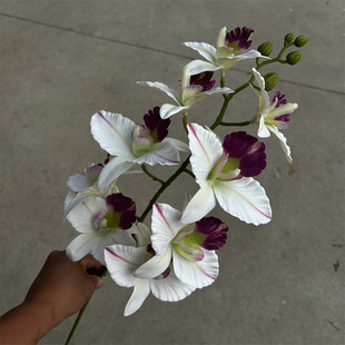 3D�zƬ���^�����m���滨 �ҾӾƵ��Yܛ�b��̻�c�[��������