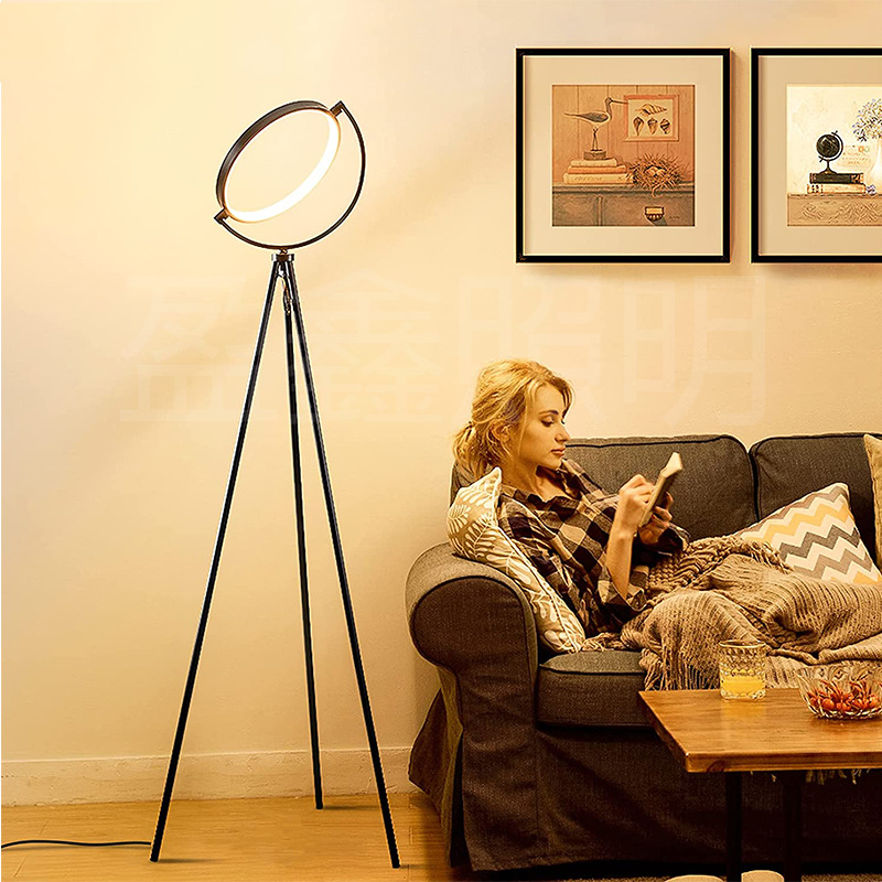 Nordic Minimalist Cross-border Atmosphere Floor Lamp Living Room Hotel Modern Vertical Background Wall LED Floor Lamp