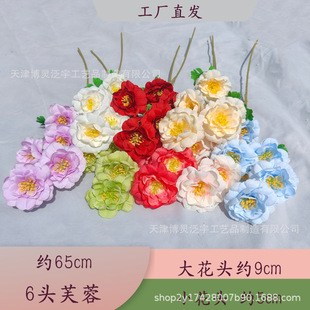 6�^����ܽ�������滨��c�Ӽ��bٻ����l�Ƶ�廨�b�������