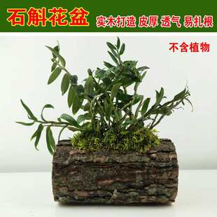 �FƤʯ����ֲ ʯ���䘶 ʯ��ľ�� �Nʯ��ľ�� �FƤʯ��ľ��������