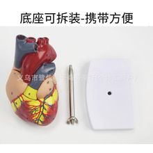 �羳1��1���w���K����ģ�� B���ʳ���Ȼ���Kģ��34�����R�̌W���K
