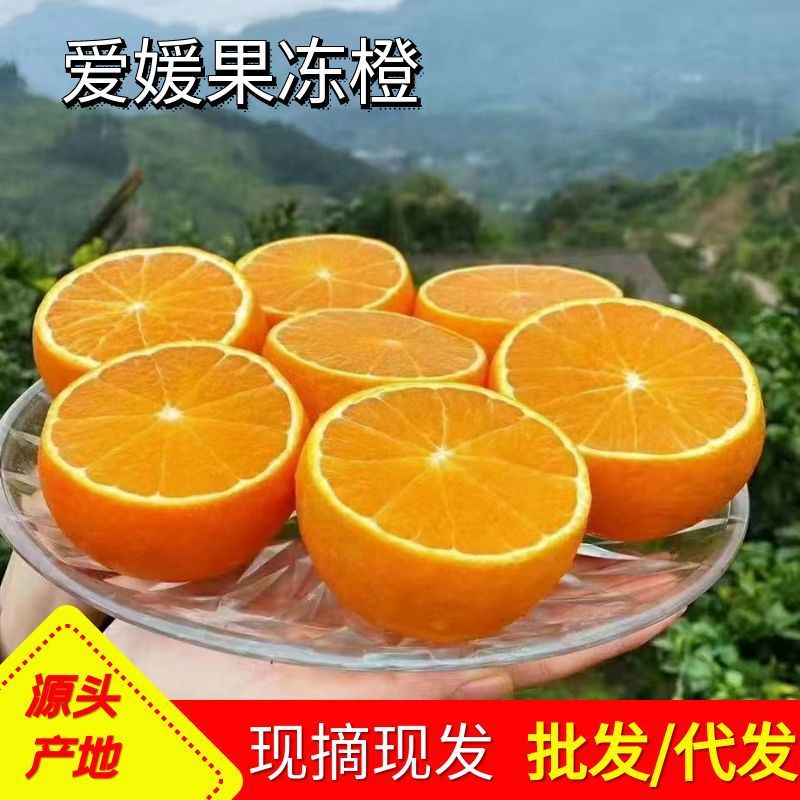 爱媛果冻橙应季新鲜橙子整箱薄皮多汁香甜柑橘批发水果鲜果手剥橙