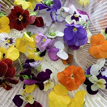 Ѻ�����ϻ����r��ֲ�����r���~����Ⱦ�N���Gֲ��ӡ���ϴ����ز�