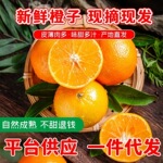 【赣州果园直供】正宗赣南脐橙应季薄皮橙子超市水果整箱批发果王