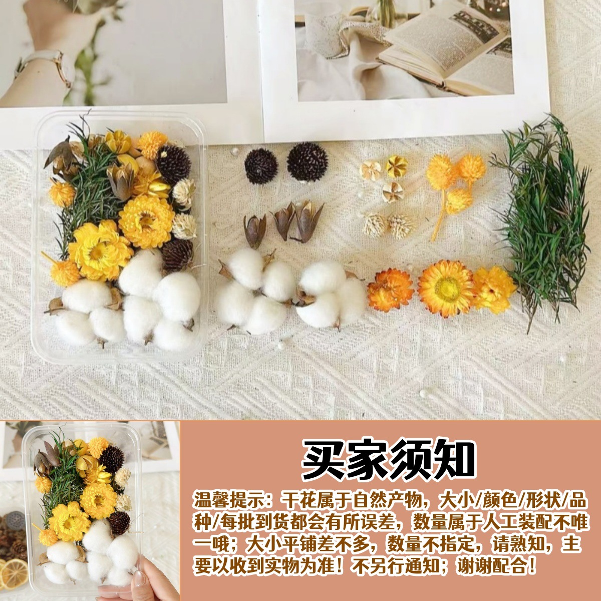 Fruitas secas flores secas DIY material paquete de plantas naturales secas al aire navidad pine canela hecha a mano in decoración adornos inmortales