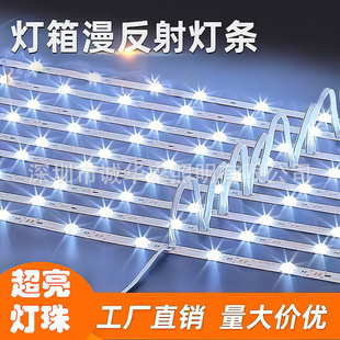 Led Light Box Light Strip Dc12V3030 Advertising Soft Film Pull-Up Light Box Roller Blind Light Strip Light Source with Multiple Colors Available