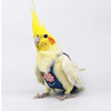 Outdoor portable pet bird flying clothing parrot can clean urine without wet shit, net red, the same bird clothing