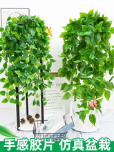 假花垂吊绿植物盆栽藤蔓装饰塑料假绿萝绿叶藤条空调客厅室内