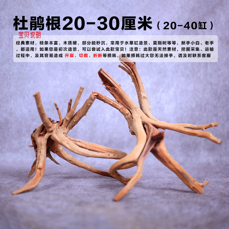 沉木杜鹃根鱼缸造景真木头鱼虾躲避南美风格晒台拱桥多枝精选套餐|undefined