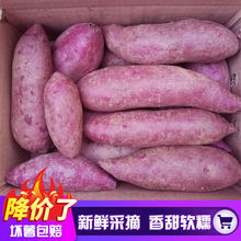 紫薯沙地10斤新鲜紫罗兰红薯蜜薯紫地瓜蔬菜批发1斤混批一件代发