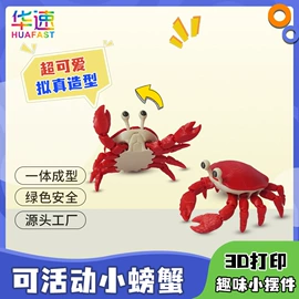 塑料工艺品;宠物虾;创意礼品套装