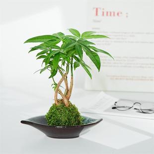 ̦�\��Gֲ���W�Lˮ��lؔ��͏d�����՚��҃�����ֲ���k�������B