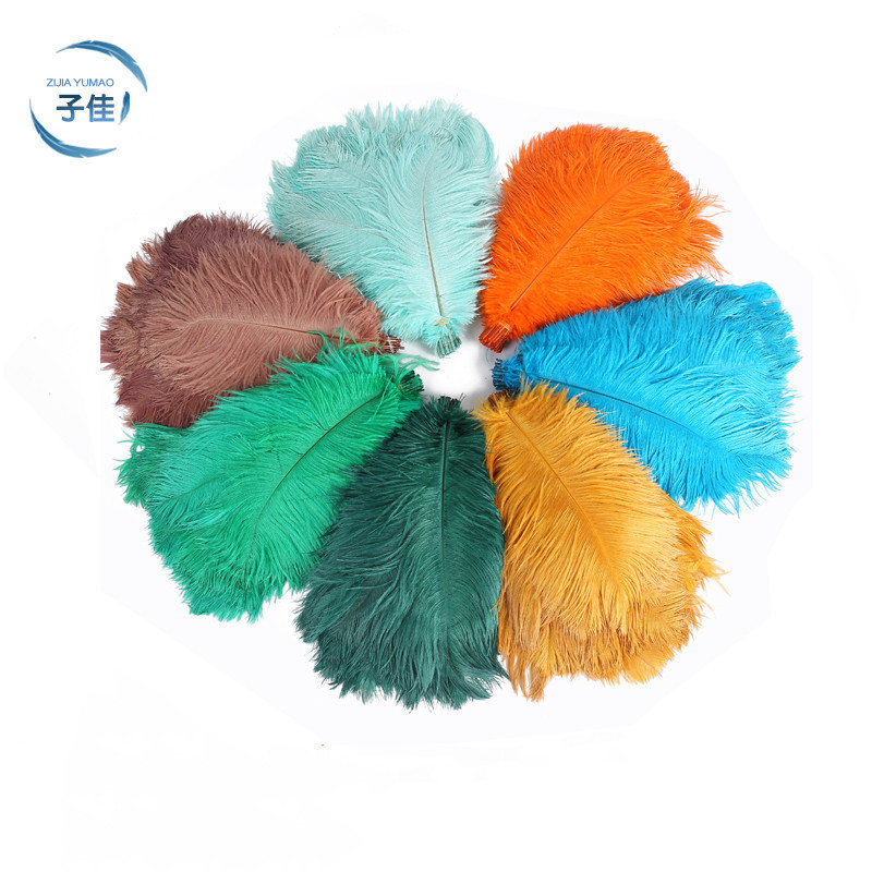 Ostrich Feather Wholesale Colorful Feather 20-25cm Internet Celebrity Feather Ostrich Feather