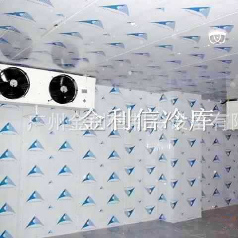 供应深圳肉类食品保鲜冷藏速冻库生物制药冷库直冷冷库