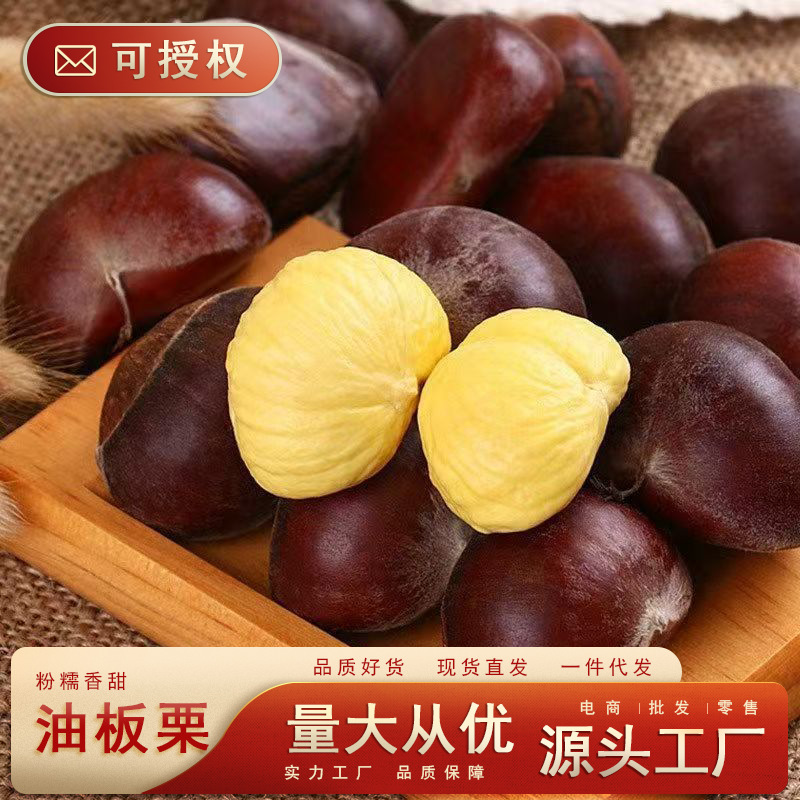 油板栗当季新鲜水果好吃锥毛栗子现摘现发粉糯香甜去刺壳坚果批发