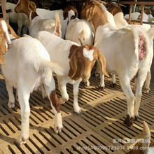 ���۲���ɽ�� ���� �N�� С��� ����� �Ų������l